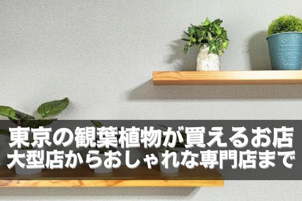 東京の観葉植物が買えるお店